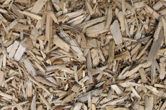 biomass boilers Arpafeelie